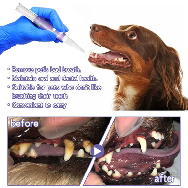 "Transform Your Pet's Smile and Bond Today"